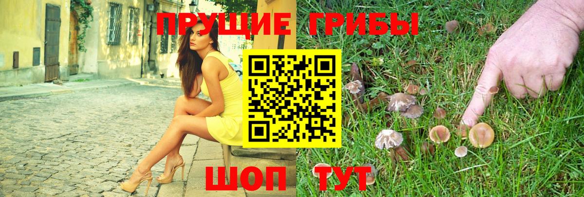 Псилоцибиновые грибы MAGIC MUSHROOMS Фрязино
