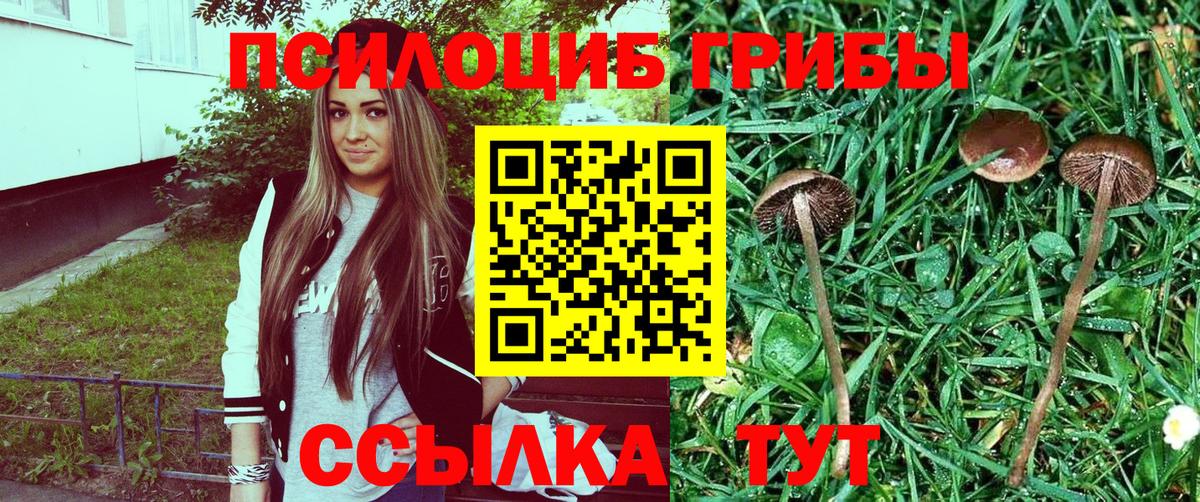 Фрязино  Галлюциногенные грибы Cubensis  Вход с VPN  Псилоцибиновые грибы MAGIC MUSHROOMS 