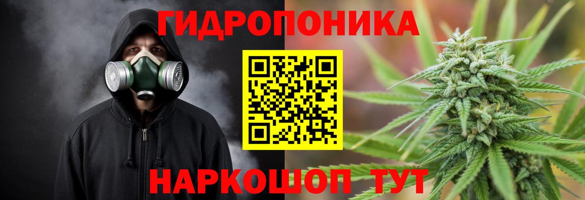 Шишки марихуана VHQ  Вход с VPN  Шишки марихуана план  Конопля White Widow  Бошки марихуана LSD WEED  Фрязино 